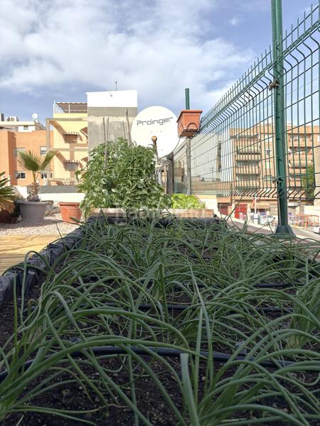 Foto d8e2cefb-777f-407e-b1e4-00fd4b782a97. Haus in Centro Sant Vicent del Raspeig