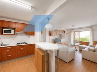 Appartement à Centro. Amplio y luminoso piso con terraza en mutxamel, junto a todos lo