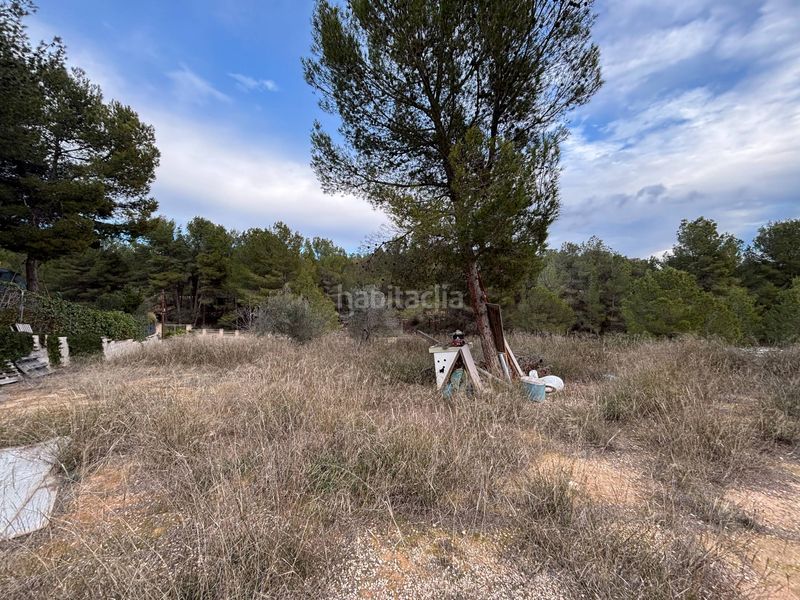 Foto bc019057-56f2-497f-9ab9-047a013a42ab. Terreny residencial a Tibi