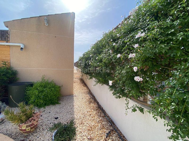 Foto 0cf160f3-5646-4f5a-b0a1-825d19a59a7d. Xalet amb aparcament piscina a Catral