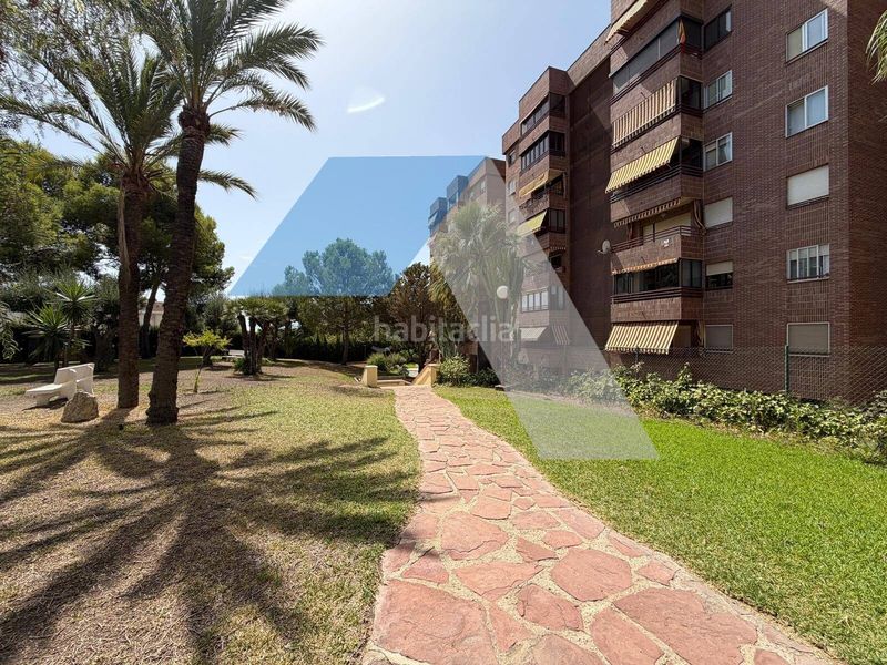Foto 0b55c803-d567-410b-8fea-dfc53f9b5ec7. Pis amb aparcament piscina a San Blas Alicante