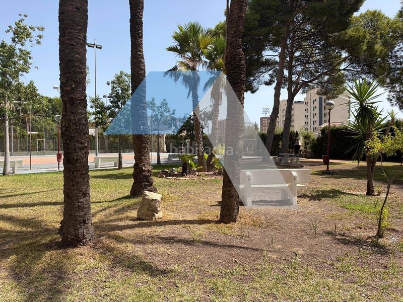 Foto 7065ef36-87ca-412e-aada-963bb2cc19e0. Pis amb aparcament piscina a San Blas Alicante
