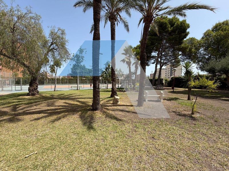 Foto fdcd4387-93da-48d0-9111-60d068bb3d52. Pis amb aparcament piscina a San Blas Alicante
