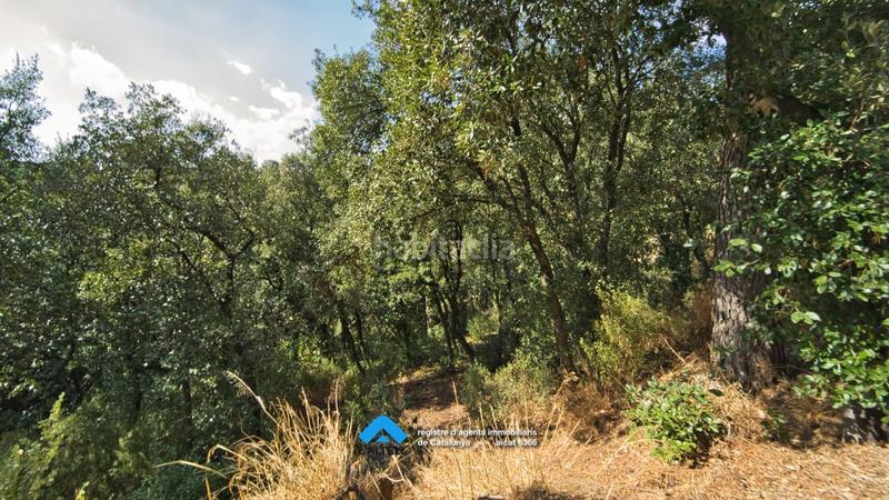 Foto 436304da-0e88-4145-b749-9870b474a3ba. Terreno residenziale in Ametlla del Vallès (L´)