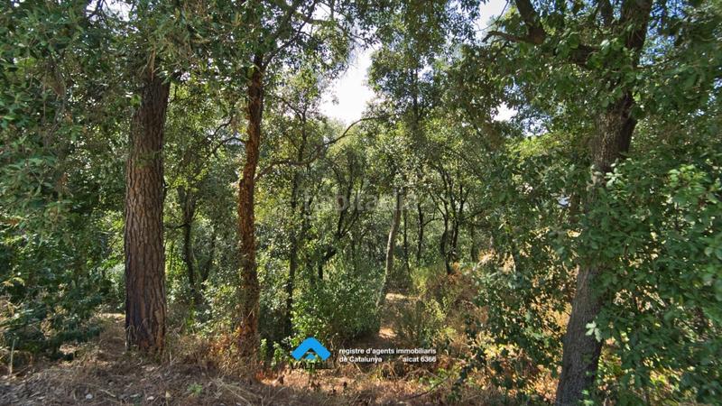 Foto 5d1f4596-9dc9-430c-b190-575596677ced. Terreno residenziale in Ametlla del Vallès (L´)