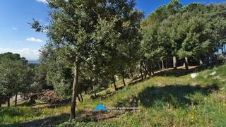 Terreny residencial a Ametlla del Vallès (L´)