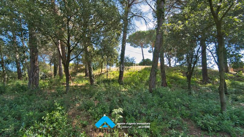 Foto 21cae8f0-a497-4af8-800e-bb5b59dcef65. Terreno residenziale in Ametlla del Vallès (L´)