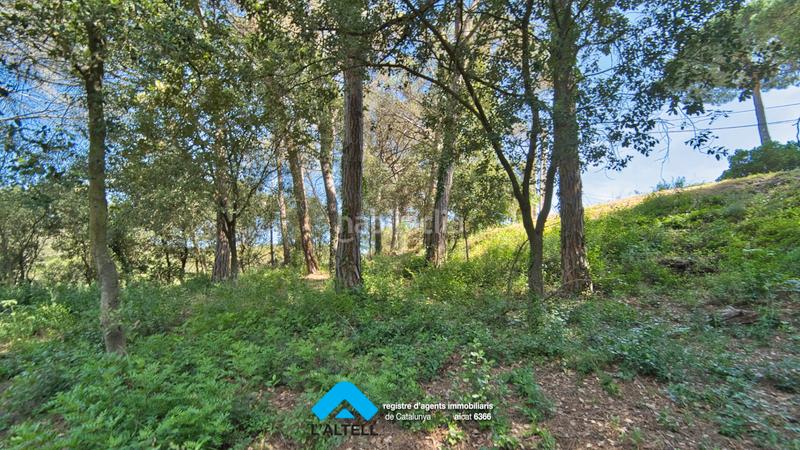 Foto 23183b44-e087-4d86-8715-aac8e8ba257f. Terreno residenziale in Ametlla del Vallès (L´)