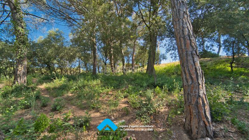 Foto 277131a9-d20f-4802-8501-953d4fce9ba5. Terreno residenziale in Ametlla del Vallès (L´)