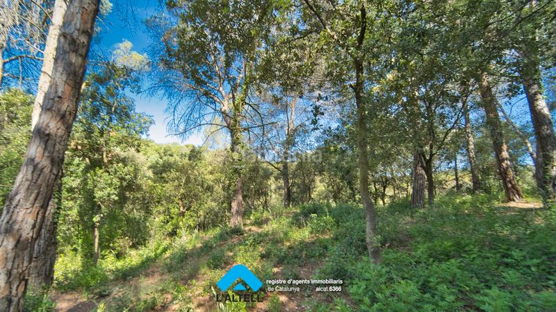 Foto 2c08677c-08fa-4966-91f1-6c97b3c57078. Terreno residenziale in Ametlla del Vallès (L´)