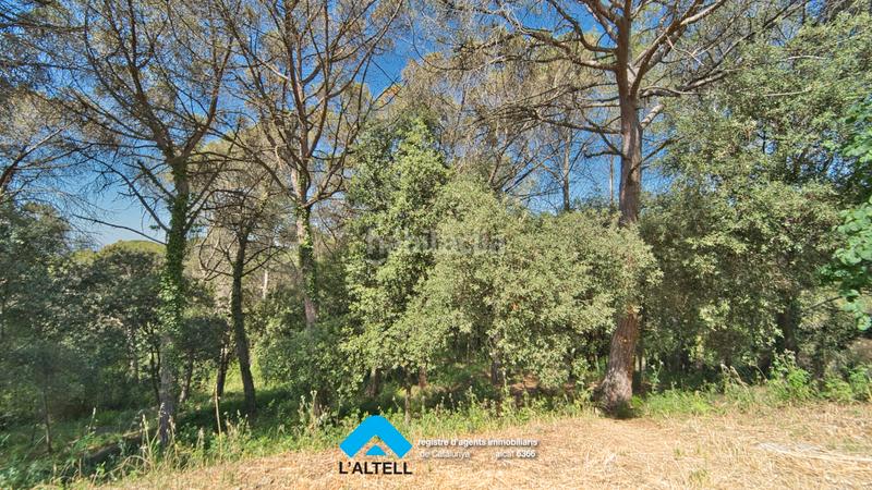 Foto 34bd5018-99e3-4186-b769-419476317260. Terreno residenziale in Ametlla del Vallès (L´)