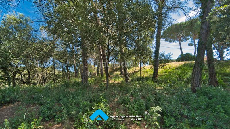 Foto 667475fa-c7a4-44a7-93ef-7d00ab8f72c0. Terreno residenziale in Ametlla del Vallès (L´)