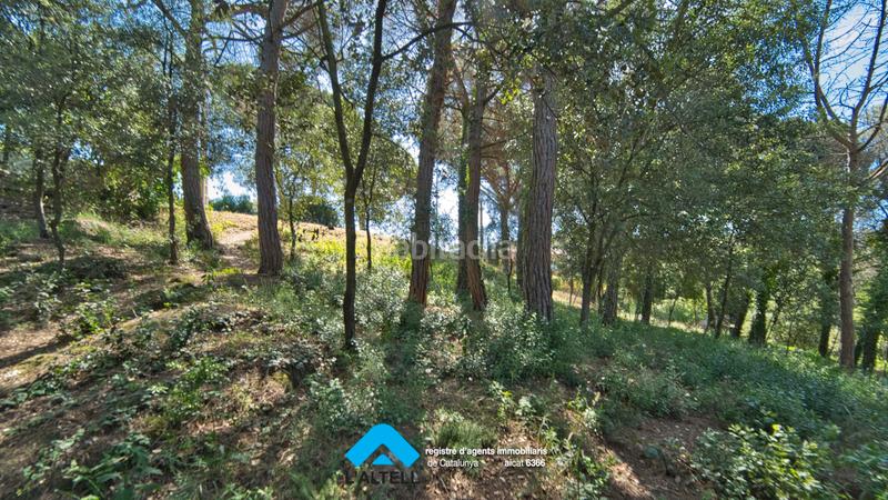 Foto 869af37c-e2a2-484c-aeca-ed1b0187ba5e. Terreno residenziale in Ametlla del Vallès (L´)