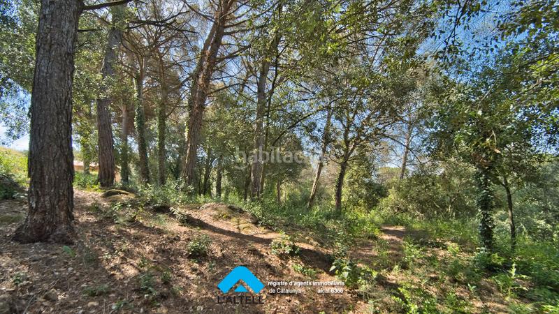 Foto 9355f2e9-d22e-478e-8120-c36238b18d3d. Terreno residenziale in Ametlla del Vallès (L´)