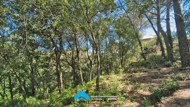 Foto aaa570ff-b7f2-44fa-a814-59b2d13ec7fc. Terreno residenziale in Ametlla del Vallès (L´)