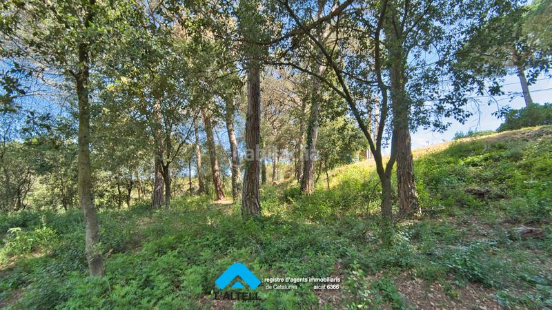 Foto e6ba390b-c6c4-4313-8b21-87b0c52f5c66. Terreno residenziale in Ametlla del Vallès (L´)