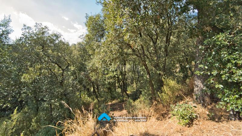 Foto 184568d9-815c-4b0e-8e4a-e8fe652ea667. Terreno residencial en Ametlla del Vallès (L´)