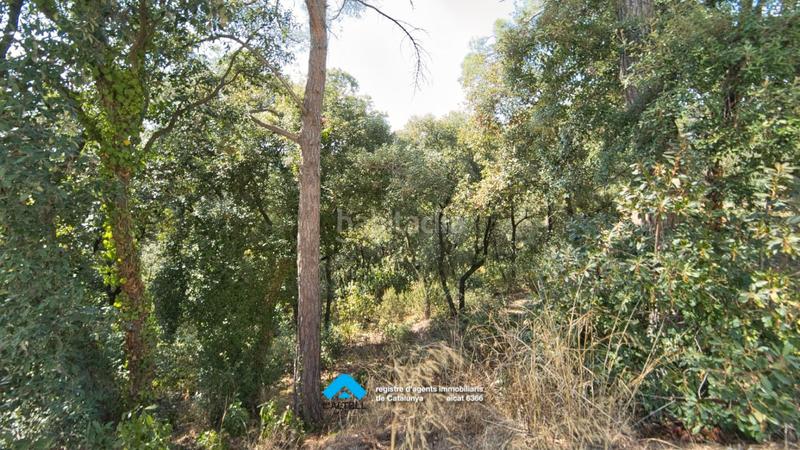 Foto 5d8c0197-ca62-4fbb-bc68-ccf732512589. Terreno residencial en Ametlla del Vallès (L´)