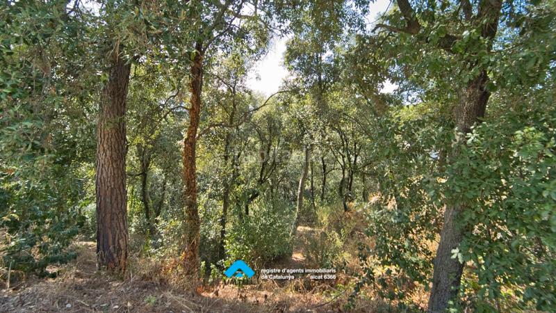 Foto 5e45952a-85d6-4811-9cb1-ecb612f4993f. Terreno residencial en Ametlla del Vallès (L´)