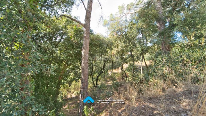 Foto d12d5073-45a2-414f-80e6-5025b5cd1b50. Terreno residencial en Ametlla del Vallès (L´)
