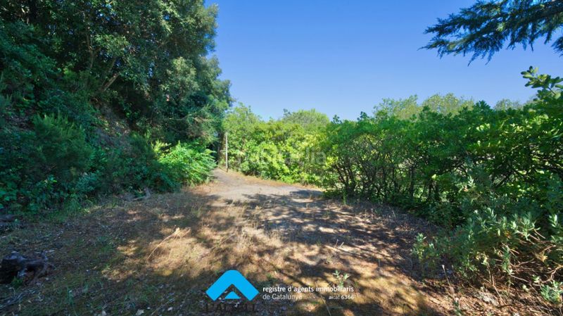 Foto 5c2f26a8-10a1-48a8-bb68-315f04868267. Casa a Sa Riera-Sa Fontansa Begur