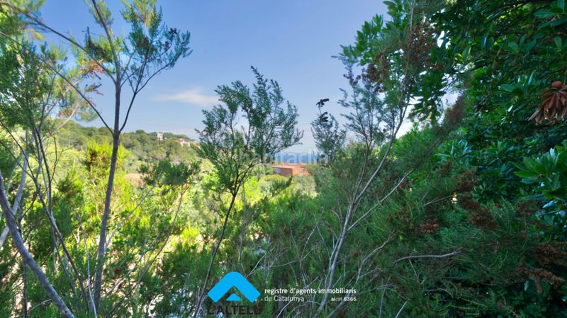Foto d4f0426f-c44a-4c23-8e40-c09969edfd40. Casa a Sa Riera-Sa Fontansa Begur