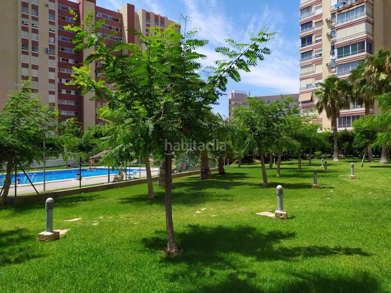 Foto 81d6217d-fbef-4aeb-92ad-7aa06fae6d9d. Appartement avec chauffage parking piscine dans Rincón Bajo Benidorm