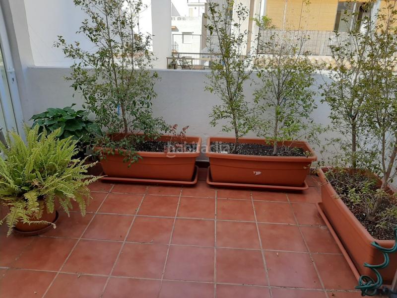 Foto 39b32c20-62f9-4ff1-baeb-f9bc60c24170. Masia amb calefacció a Casco Antiguo - Puerto Benidorm