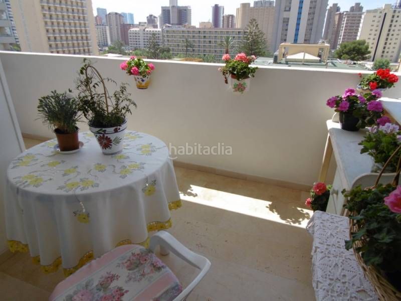 Foto 1b499f72-2c90-4961-bee4-4876752e63c2. Apartament amb calefacció aparcament piscina a Levante Alto Benidorm