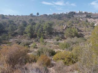 Terreno residenziale in Balcón de Finestrat-Terra Marina. Se vende terreno urbanizable en finestrat de un total de 35.000
