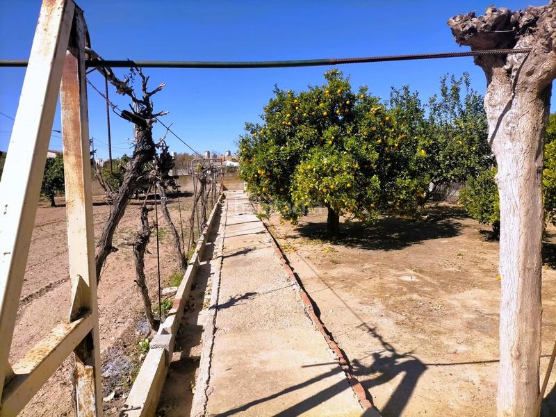 Foto 9bee342c-a0c0-4b49-9d88-8428692abb82. Masía chalet independiente en zona nuevos juzgados.www.eurocenterinmobiliaria.com en Benidorm