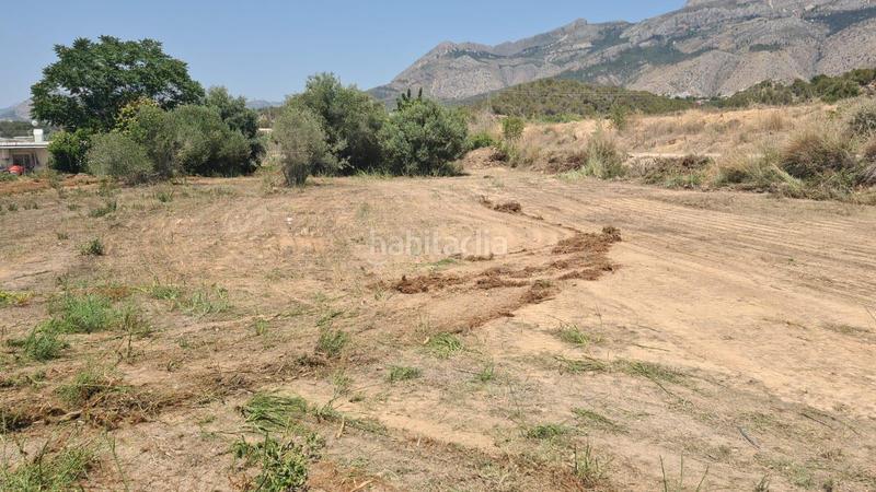 Foto e07f817e-3c46-4e16-8235-920c48babe9d. Rural plot in Altea la vella Altea