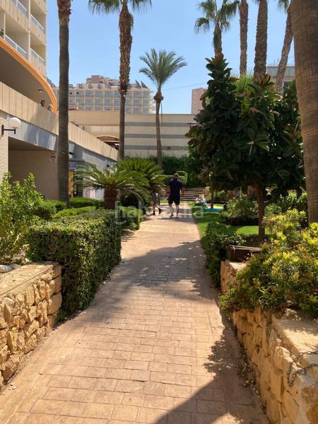 Foto 07079b1a-03ed-4b17-b892-6bbb54564336. Apartment with heating pool in Rincón Alto Benidorm