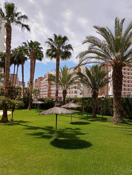 Foto 09c7d788-3821-4ff7-95ac-47ca75b20a35. Piccolo appartamento con piscina in Rincón Bajo Benidorm