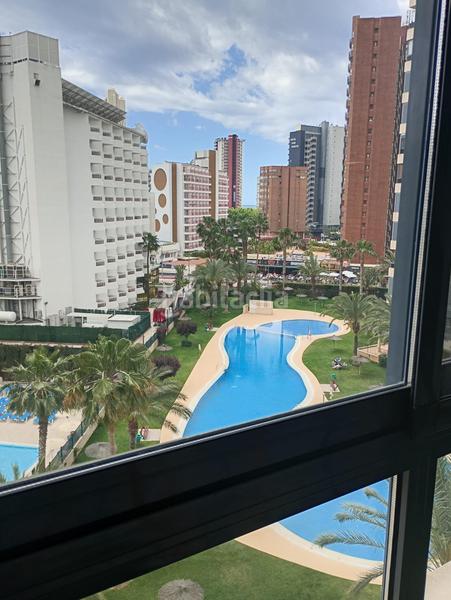 Foto 2b9c90ee-a04f-4477-a70d-1bf0ea0d7646. Piccolo appartamento con piscina in Rincón Bajo Benidorm