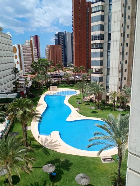 Foto 525bd1ff-94a9-439c-9df1-dba98526b1cc. Piccolo appartamento con piscina in Rincón Bajo Benidorm