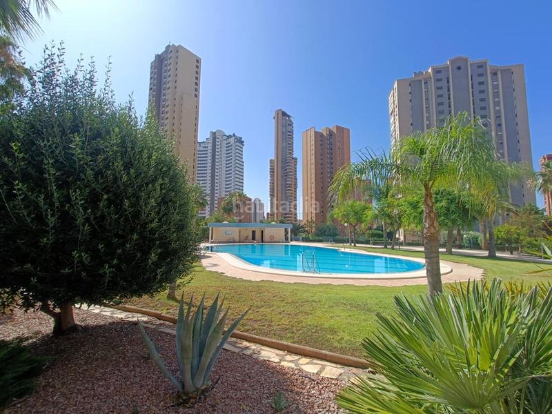 Foto 997d5416-cd01-4bec-9abb-df2f83ca1dd0. Appartamento con parcheggio piscina in Juzgados - Plaza de Toros Benidorm