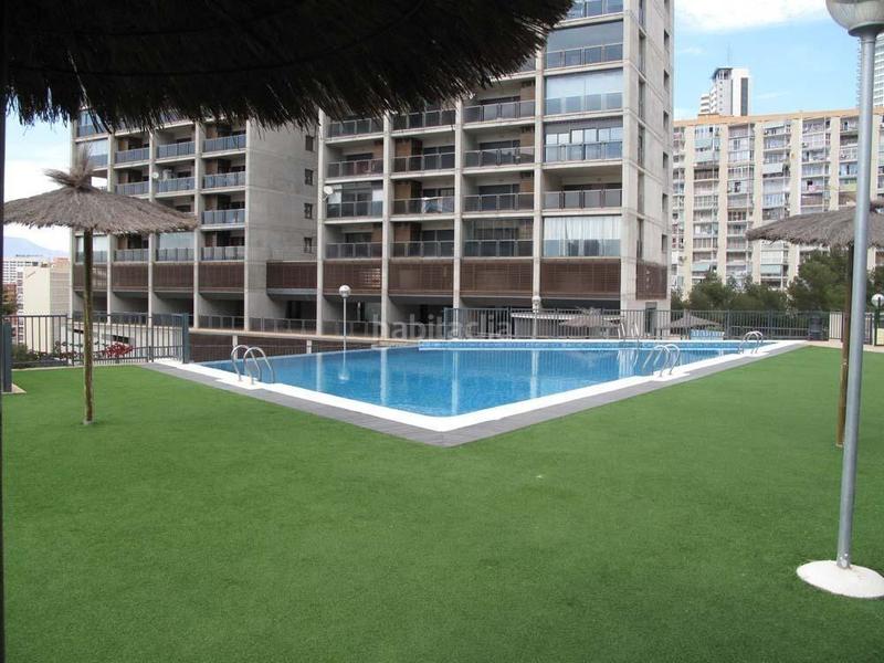 Foto dad8f345-7859-43b9-ae4f-ad2086a73fba. Piccolo appartamento con riscaldamento parcheggio piscina in Benidorm