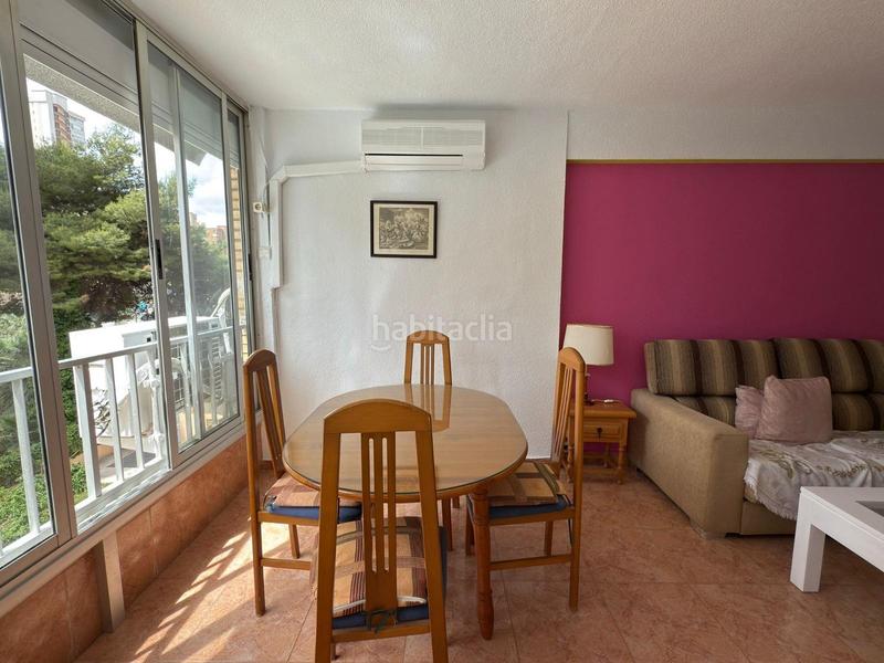 Foto 430185a5-9938-412e-be9e-1405cf1f8fa8. Piccolo appartamento con riscaldamento parcheggio piscina in Benidorm