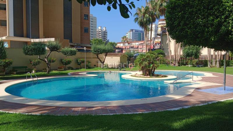 Foto eb3280a7-25b3-4911-91e5-50380c0804ee. Apartamento acogedor apartamento a pocos pasos del mar. en Benidorm