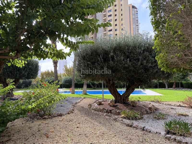 Foto 47a46d33-a421-419e-b137-2d6f4ad14c22. Appartamento con parcheggio piscina in Juzgados - Plaza de Toros Benidorm