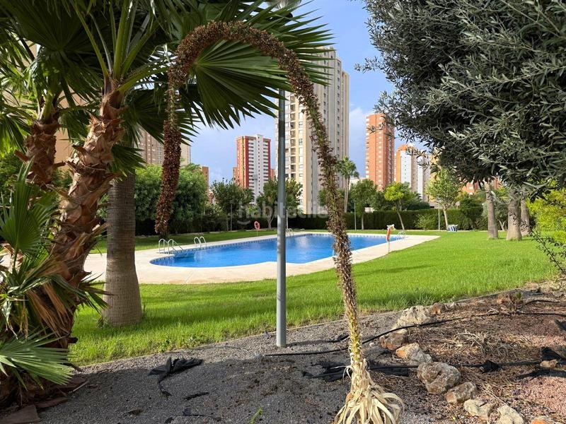 Foto 93f68c1b-ca00-4bbd-965d-b3c77796fa25. Appartamento con parcheggio piscina in Juzgados - Plaza de Toros Benidorm
