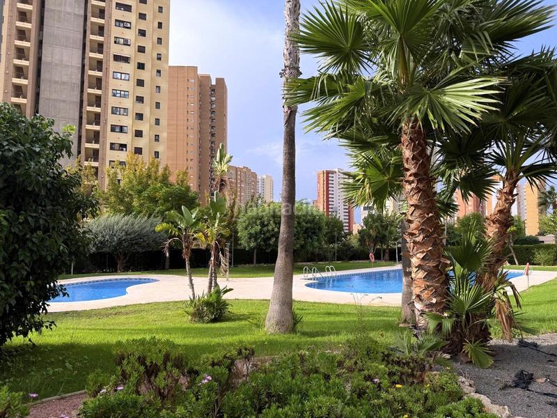 Foto e2b1647d-6639-4a36-81e0-4706a3ecf392. Appartamento con parcheggio piscina in Juzgados - Plaza de Toros Benidorm