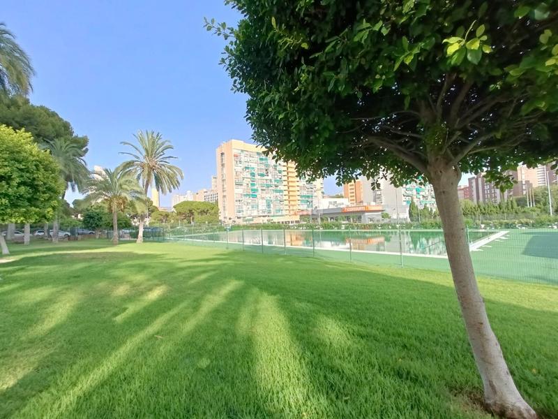 Foto e5a802ca-9540-4669-8a70-a9729bb7a4f2. Estudi amb calefacció aparcament piscina a Juzgados - Plaza de Toros Benidorm