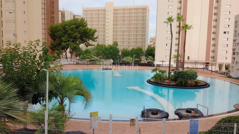 Foto 59b18003-bc36-4f65-a74a-389db6705f76. Appartement avec chauffage parking piscine dans Rincón Alto Benidorm