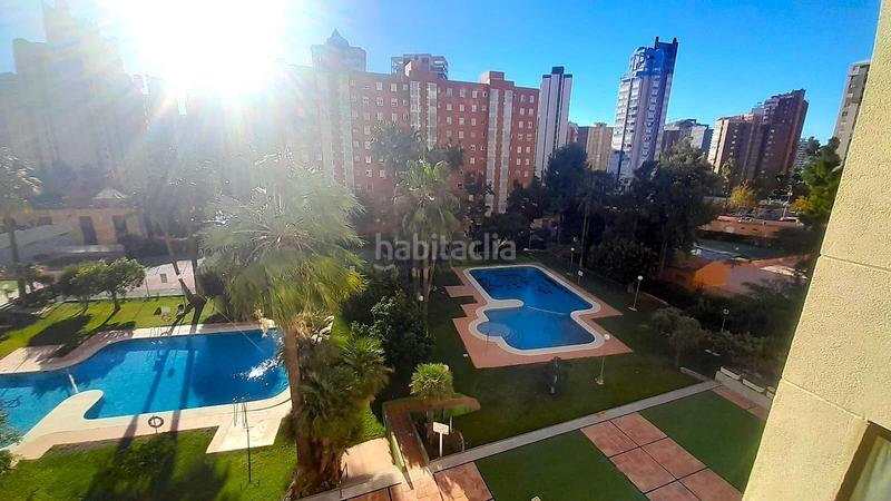 Foto 41330509-49e5-4805-9b07-0448527f6df7. Piso se vende piso de un dormitorio, zona juzgados en Benidorm