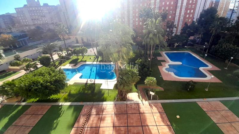 Foto e3e3b948-4974-4477-9ed2-cf5cbe5120da. Piso se vende piso de un dormitorio, zona juzgados en Benidorm
