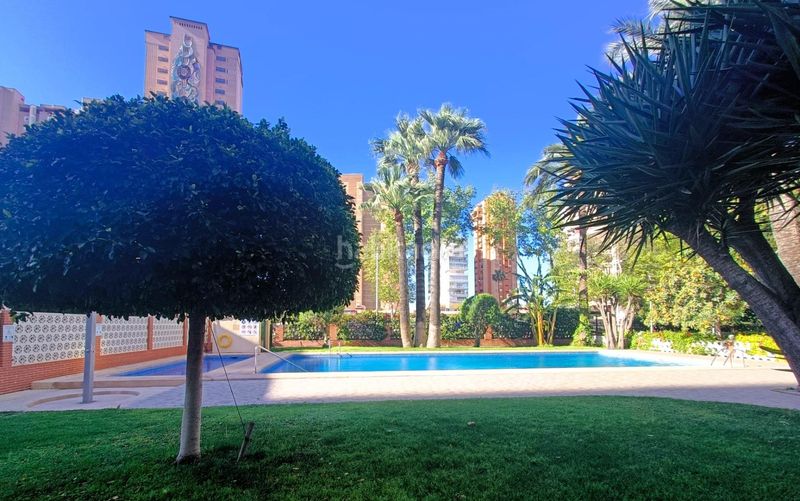 Foto 3e823f2a-0943-4682-aa85-3b649464e253. Planta baixa amb aparcament piscina a Playa Levante Benidorm