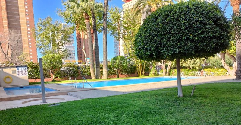 Foto 5e19fa38-98f4-42b7-bcfa-a379c5ab052c. Planta baixa amb aparcament piscina a Playa Levante Benidorm