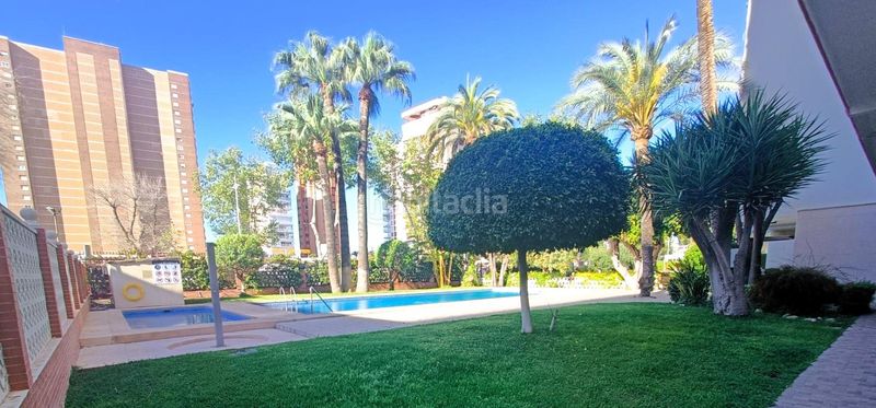 Foto 5ef111a6-18b6-4a73-9921-98d110b59a61. Planta baixa amb aparcament piscina a Playa Levante Benidorm